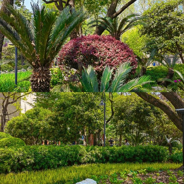 靜安公園～心靜之地