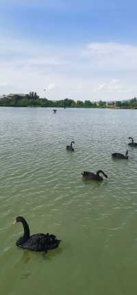 張掖國家濕地公園