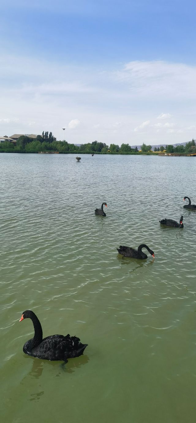 張掖國家濕地公園