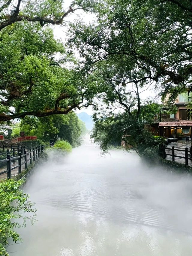 古堰畫鄉今天下午2點開園了!太美了,值得 古堰畫鄉今天下午2點開園了!太美了,值得
