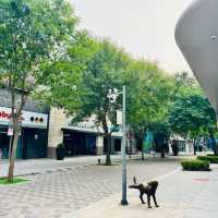 Shine Hills: Fun, Food, Films, All Day!