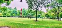 閔行文化公園｜梅雨瀟瀟瀝瀝，公園鬱鬱蔥蔥