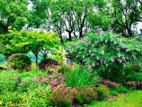 閔行文化公園｜梅雨瀟瀟瀝瀝，公園鬱鬱蔥蔥