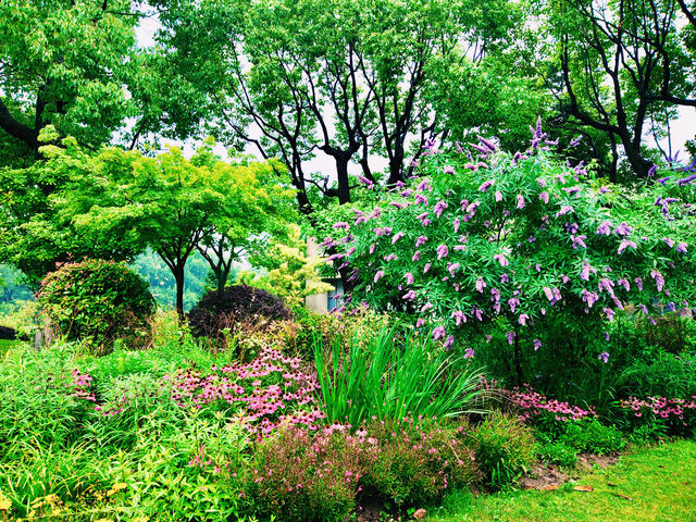 閔行文化公園｜梅雨瀟瀟瀝瀝，公園鬱鬱蔥蔥