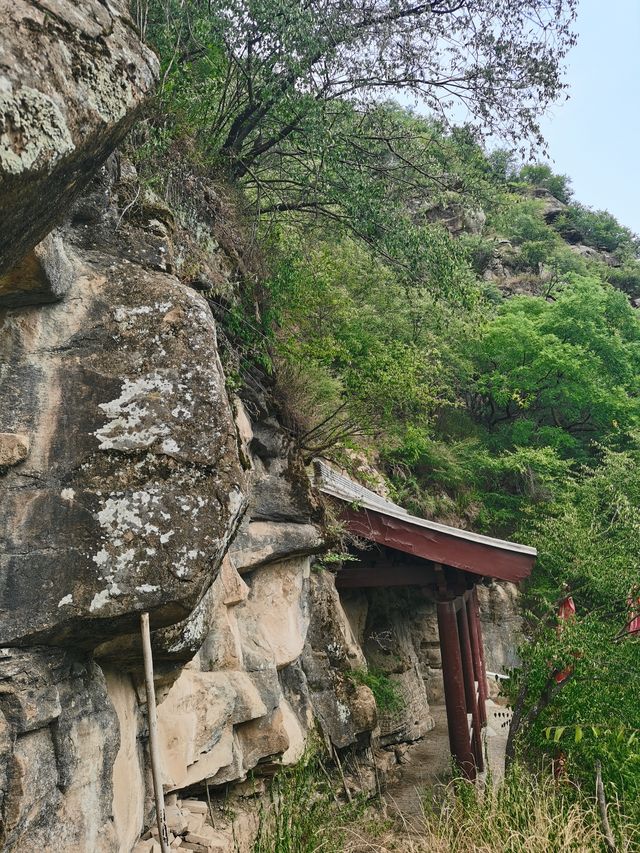 麟山探秘｜巔山千佛朝如來