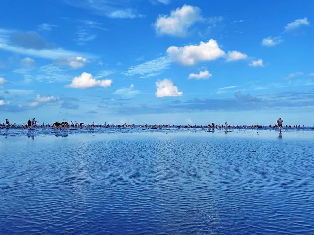 江蘇的“小三亞”，這個夏天一定要去黃金海灘趕海
