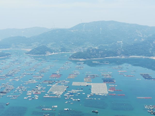 爆熱39° 天   勇爬旗冠頂