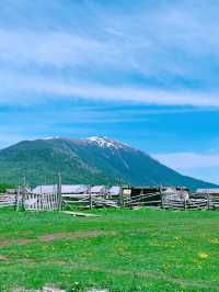 喀納斯瓦圖新村一個夢寐以求的避暑絕佳去處
