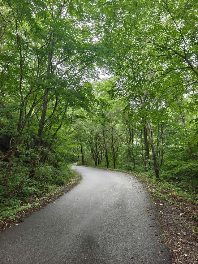 蒲石河森林公園（遼寧省鳳城市，4A）