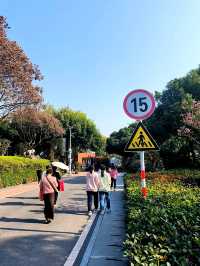 正確的廈門旅遊路線，來靈驗的仙岳山土地公廟祈福