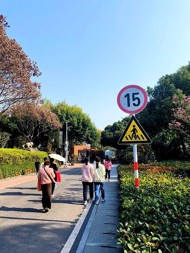 正確的廈門旅遊路線，來靈驗的仙岳山土地公廟祈福