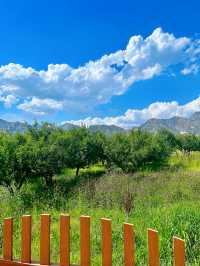 夏日的包頭土默特右旗大雁灘景區，瓜果飄香，風景如詩如畫