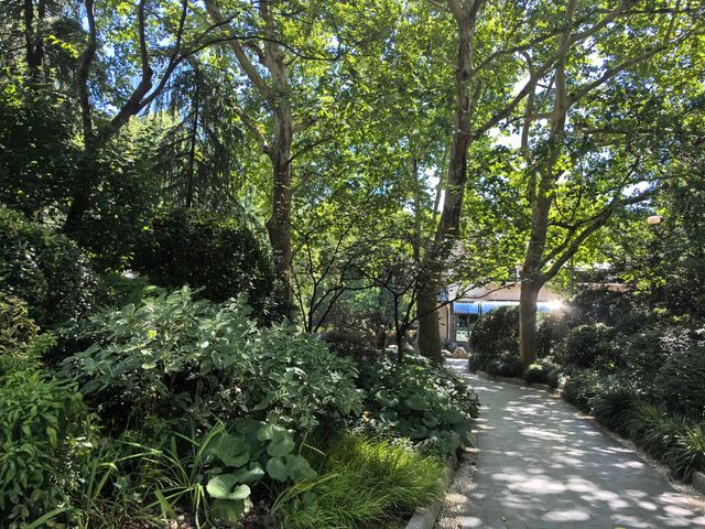 城市公園圖鑑：上海人民公園