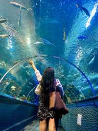 Shanghai Ocean Aquarium: Underwater Wonders