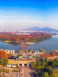 🌃 Nanjing Nights: Top Attractions for Evening Explorers 🏮