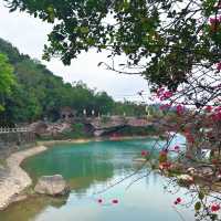【鬥門金台寺】靜心打卡，釋放煩惱