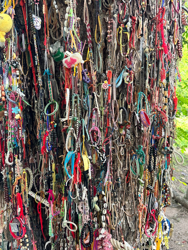 Cambodia’s Harrowing History, The Killing Fields Museum Tour