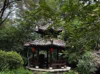 去了6次沈陽世博園，終於玩明白了！