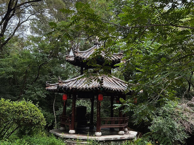 去了6次沈陽世博園，終於玩明白了！