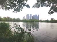 東湖公園：人與自然和諧共生