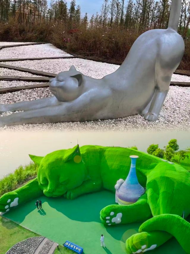走進白馬湖：體驗濕地公園的寧靜