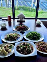 去完黃龍旅遊回來，我想辭職了