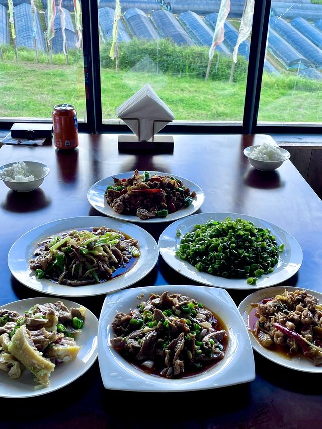 去完黃龍旅遊回來，我想辭職了