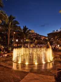 🌴 West Palm Wonders: Top Hotel Picks! 🏨✨