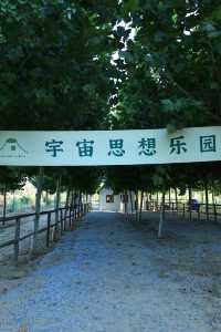 你敢信｜家邊的火山。