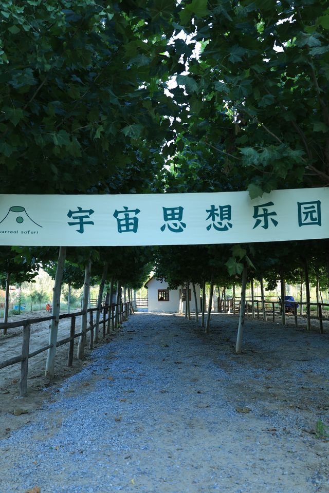 你敢信｜家邊的火山。