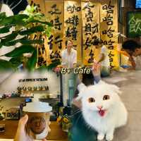 B+ Cafe ☕️ Coffee Brewery in Nantou Ancient City