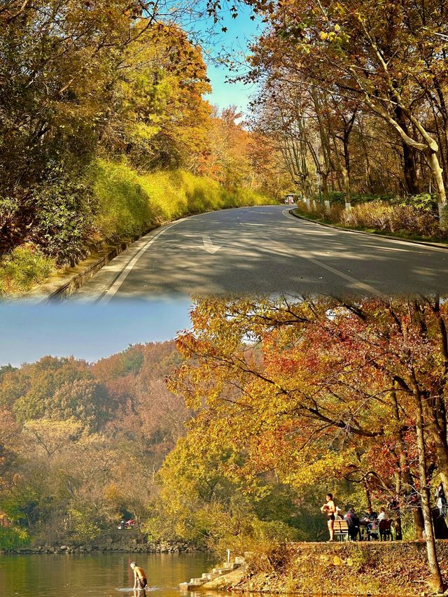 如果錯過了明孝陵的秋天,那該有多遺憾呀。