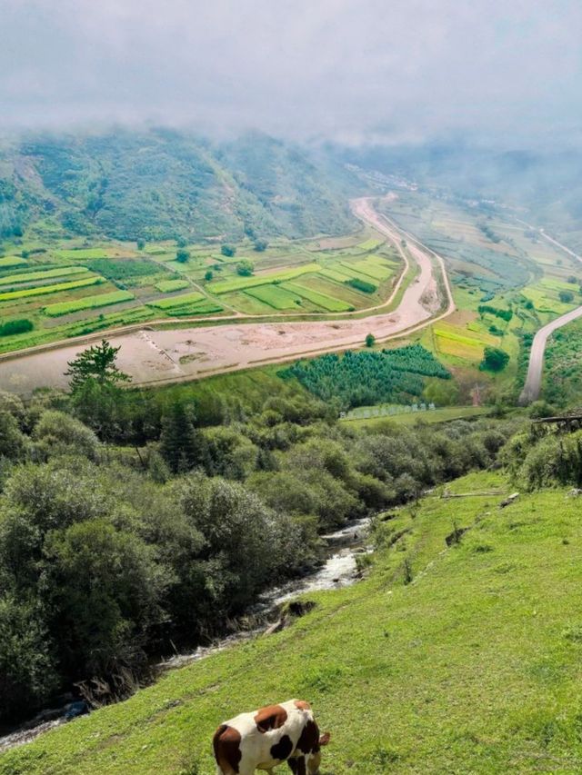 山西旅行｜蘆芽山是山西人的阿勒泰。