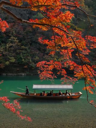 Early bird maple viewing in Japan, route reference! .