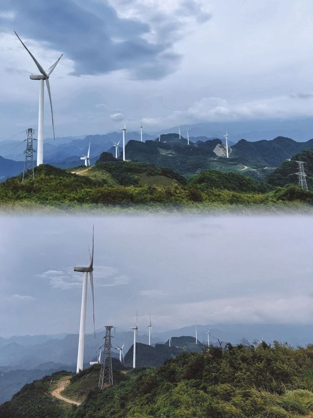 萬盛石林｜ 穿越4.65-6億年期間的海底世界。
