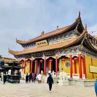 種草珠海金臺寺啦