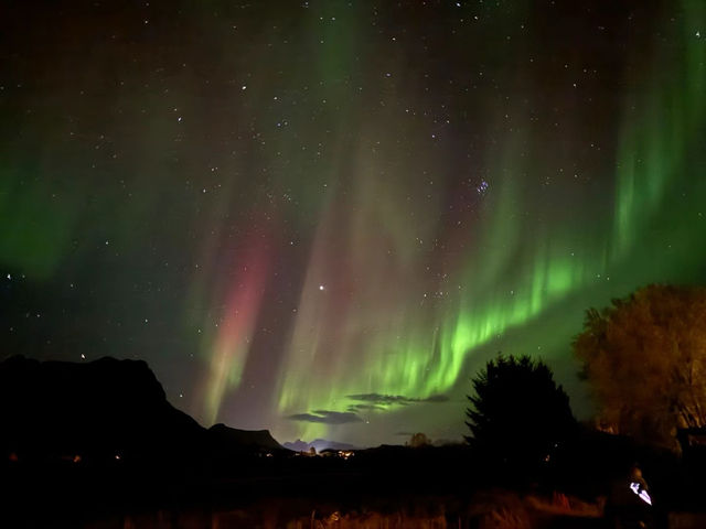 羅弗敦群島觀賞極光體驗：變幻莫測，星光璀璨