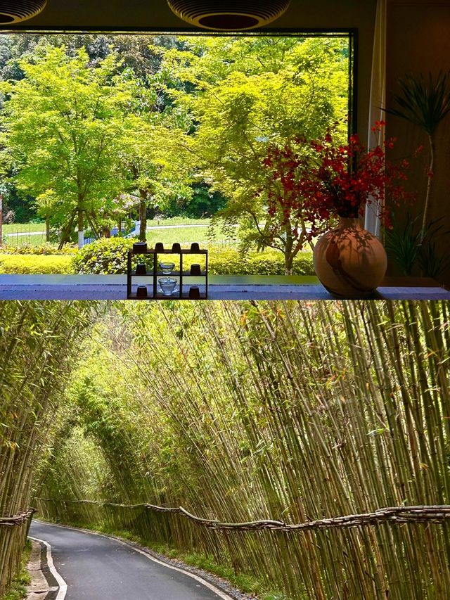 麗水雲山境酒店環境非常棒！。