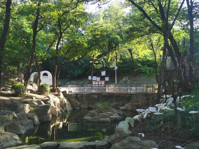 Camping is a great way to get back to nature.