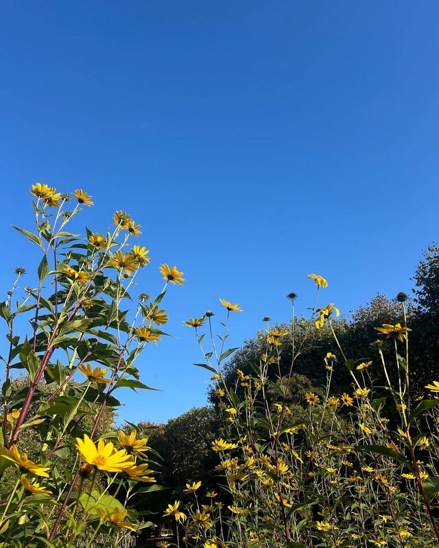 《南特植物園：童話與自然的奇妙邂逅》。