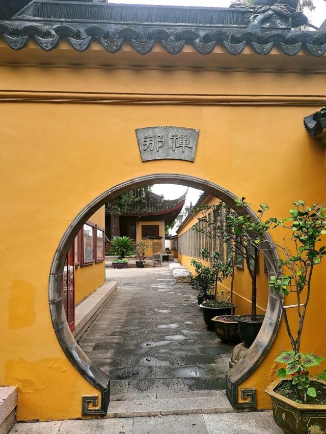 蘇州定慧寺千年銀杏和蘇東坡遺跡！。