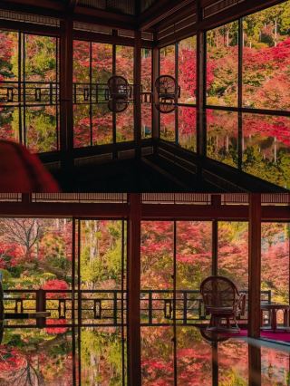 佐賀兩日遊，解鎖地道風情與美食天堂。
