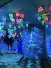 夢幻之光：臨沂螢火蟲水洞的奇幻體驗