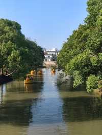 可以衝嘉北郊野公園的稻田（附保姆級攻略）。