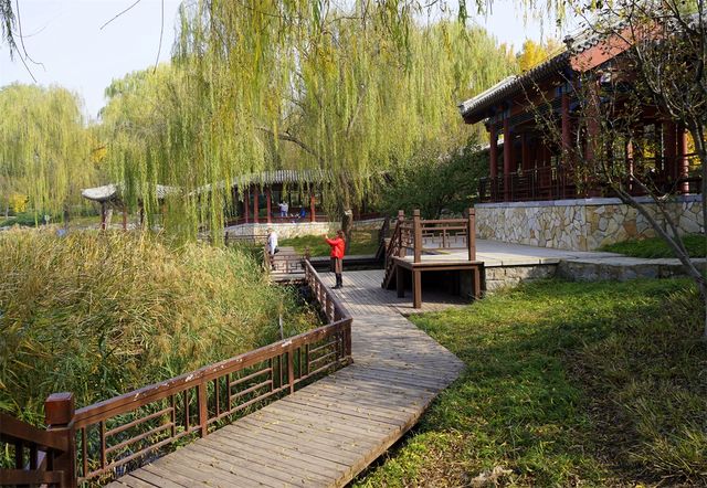 秋日裡，走進有著農耕印記的北坞公園。