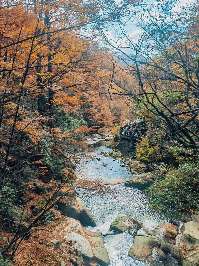 南江3日遊 玩轉熱門風景不重樣。