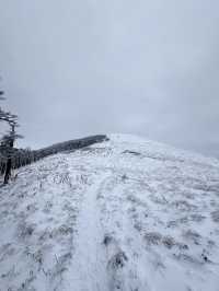 西安秦嶺東梁|雪後的東梁，如她的名字一樣別緻。