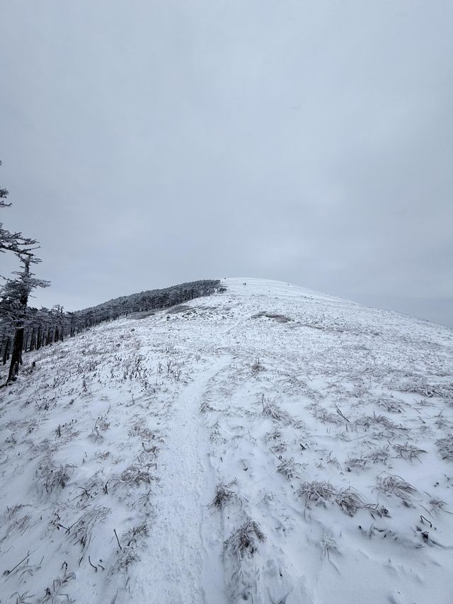 西安秦嶺東梁|雪後的東梁，如她的名字一樣別緻。