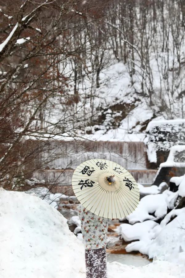 Discovering the Hidden Hot Springs of Akita's Nyuto Onsen Village in Japan