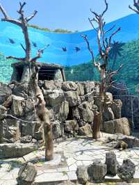 日本°東京ㅣ親子免費近郊好去處ㅣ江戶川區自然動物園。